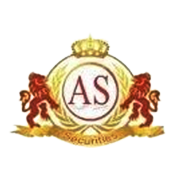 Amarnath Securities Ltd logo