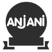 Anjani Synthetics Ltd logo
