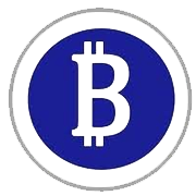 Bansal Multiflex Ltd logo