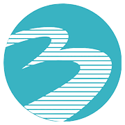 Bannari Amman Spinning Mills Ltd logo