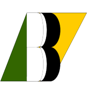 Bimetal Bearings Ltd logo