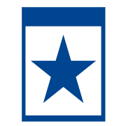 Blue Star Infotech Ltd logo