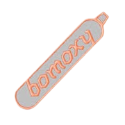 Bombay Oxygen Investments Ltd logo