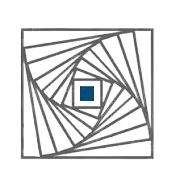 Compuage Infocom Ltd logo