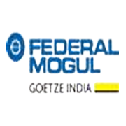 Federal-Mogul Goetze (India) Ltd logo