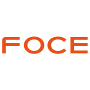 Foce India Ltd logo