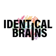Identical Brains Studios Ltd logo