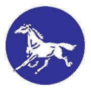 Kothari Industrial Corporation Ltd logo