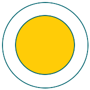 Lactose (India) Ltd logo