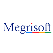 Megri Soft Ltd logo