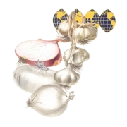 Oceanic Foods Ltd logo