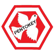 Pentokey Organy (India) Ltd logo