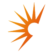 Polytex India Ltd logo