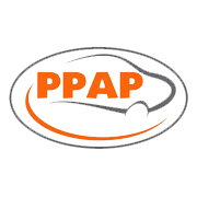 PPAP Automotive Ltd logo