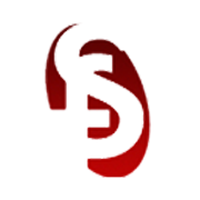 Rajvi Logitrade Ltd logo