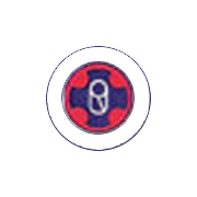 Rathi Steel & Power Ltd logo