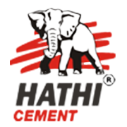 Saurashtra Cement Ltd logo