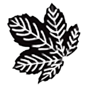 Seasons Textiles Ltd logo