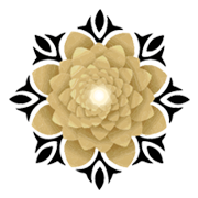 Sky Gold & Diamonds Ltd logo