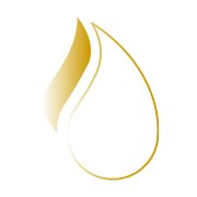 Solvex Edibles Ltd logo