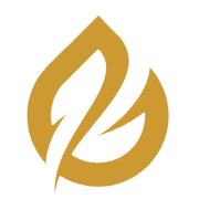 Spacenet Enterprises India Ltd logo