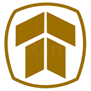 Thakral Services (India) Ltd logo
