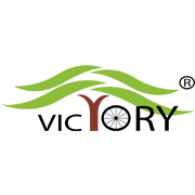 Victory Electric Vehicles International Ltd logo