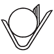 Vikalp Securities Ltd logo