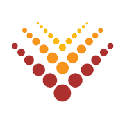 Vinsys IT Services India Ltd logo