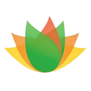 Vishnu Chemicals Ltd logo