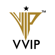 VVIP Infratech Ltd logo