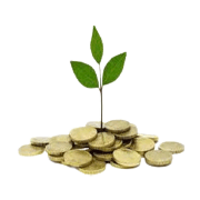 Yamini Investment Company Ltd logo